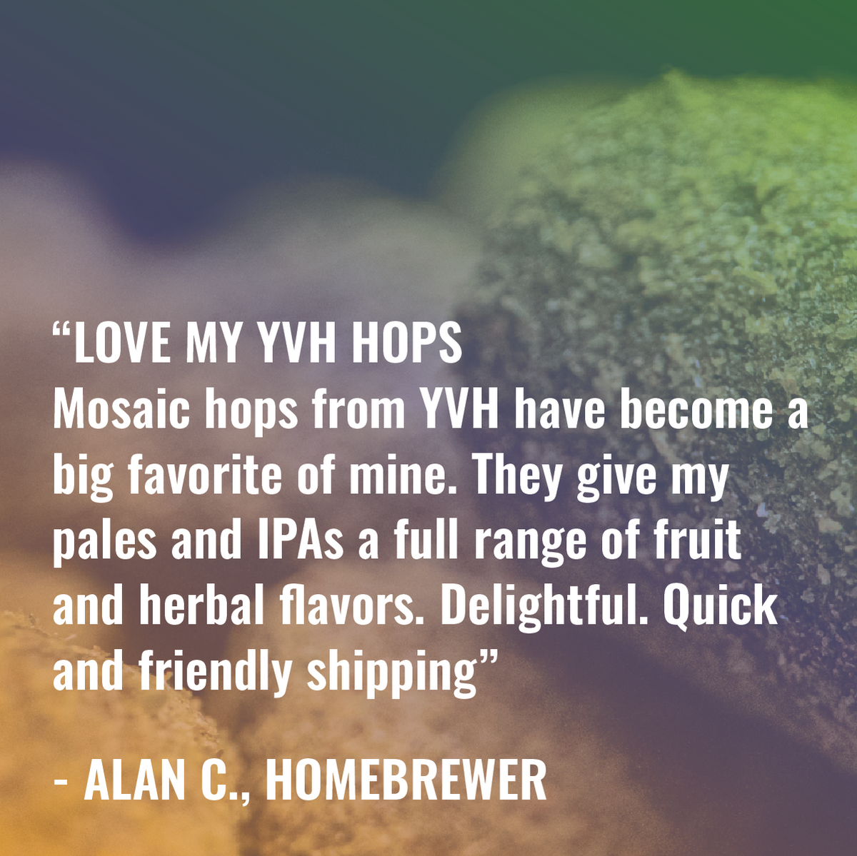 Mosaic Hop Review