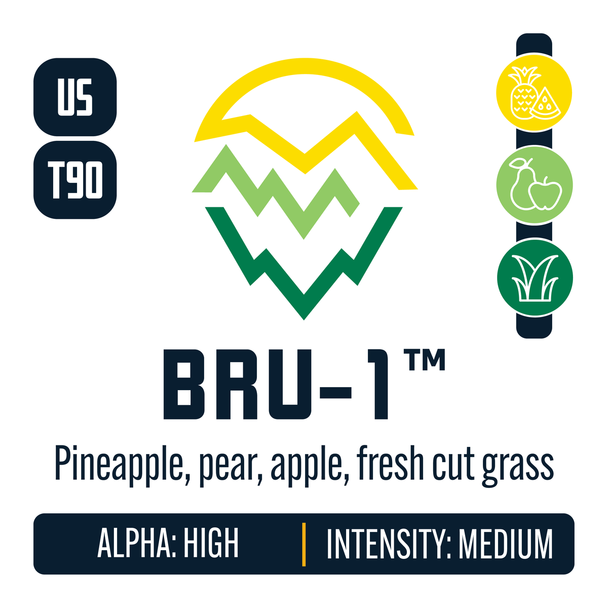 BRU-1 Hop Profile: Sweet Fruit, Green Fruit, Green-Grassy