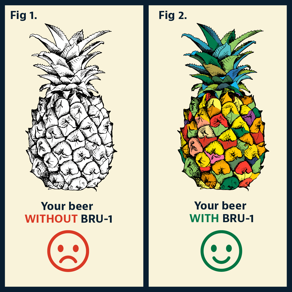 Bru-1 Product