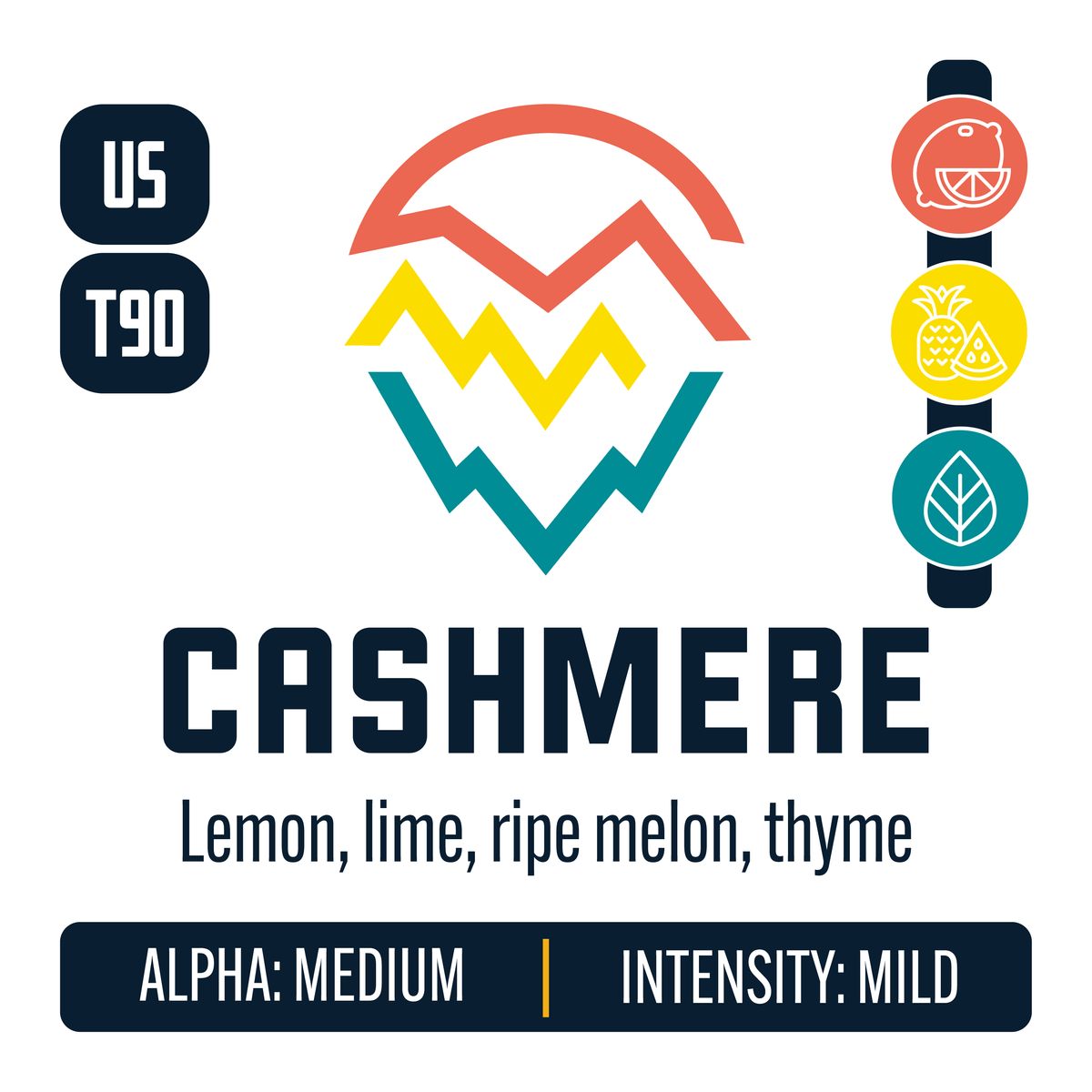 Cashmere Hop Profile: Citrus, Sweet Fruit, Herbal