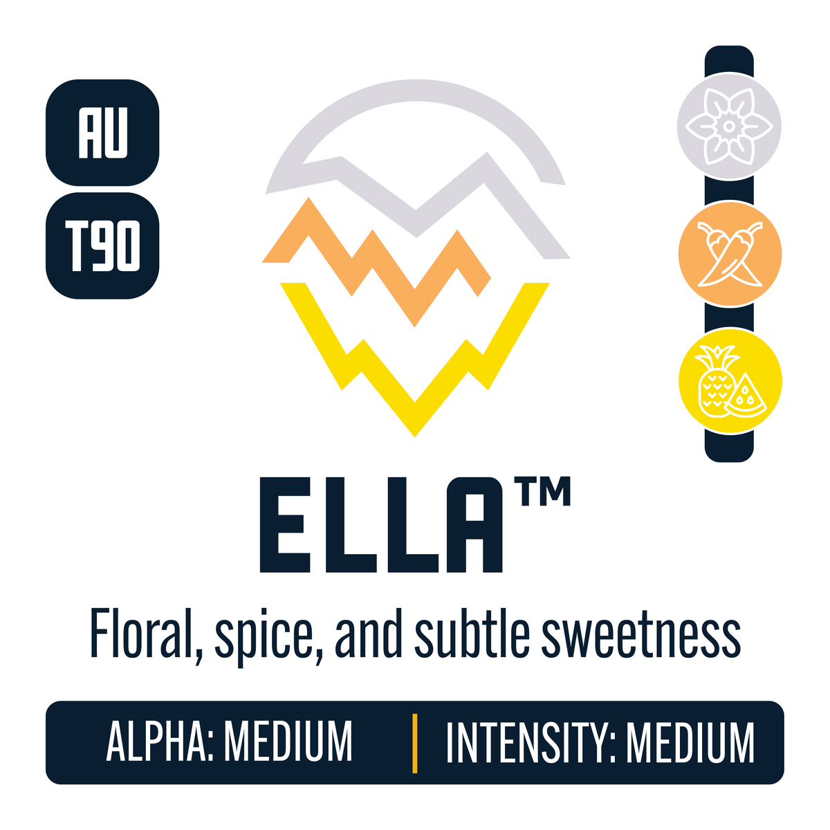 Ella Hop Profile: Floral, Spice, Sweet Fruit