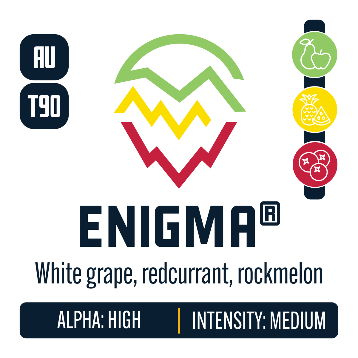 Enigma Hop Profile: Green Fruit, Sweet Fruit, Berry & Currant