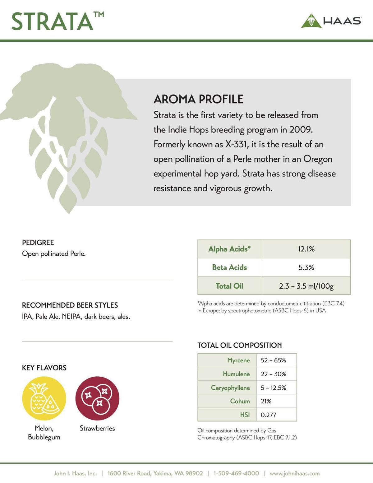 Strata Hop Companion
