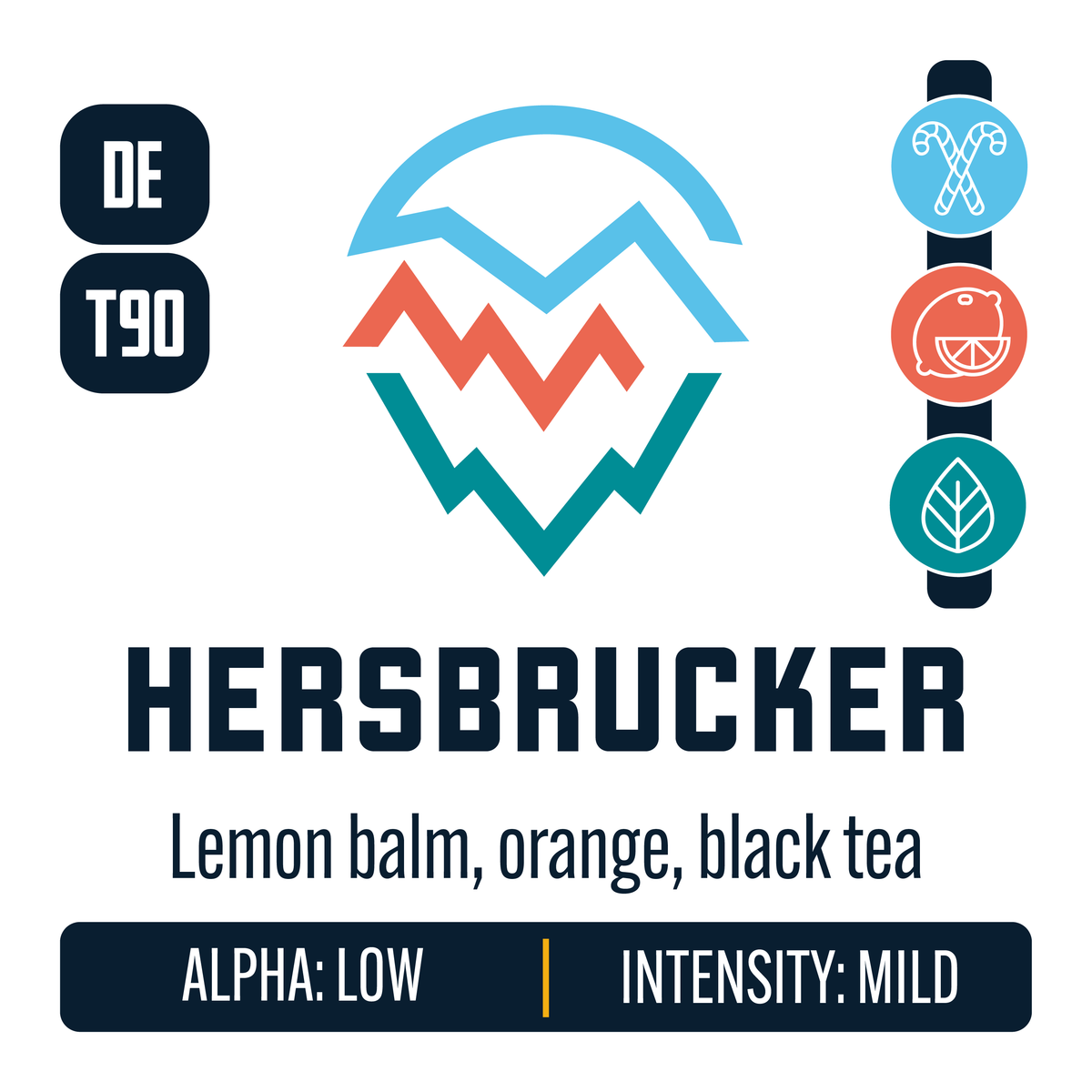 Hersbrucker Hop Profile: Menthol, Citrus, Herbal