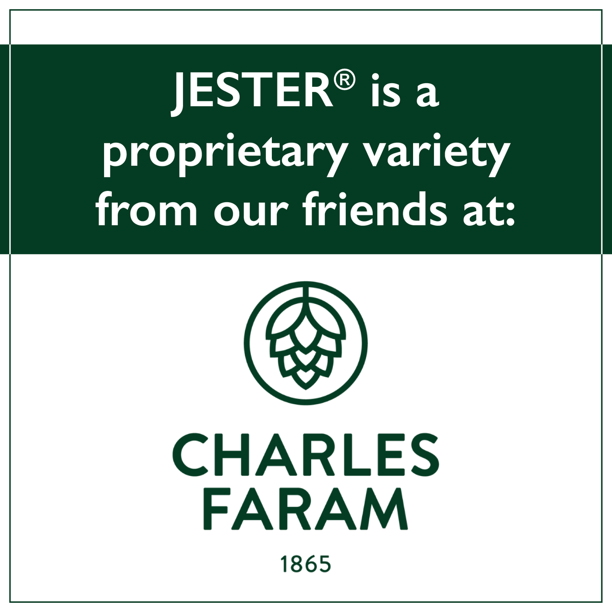 Jester® is a proprietary variety from our friends at Charles Faram