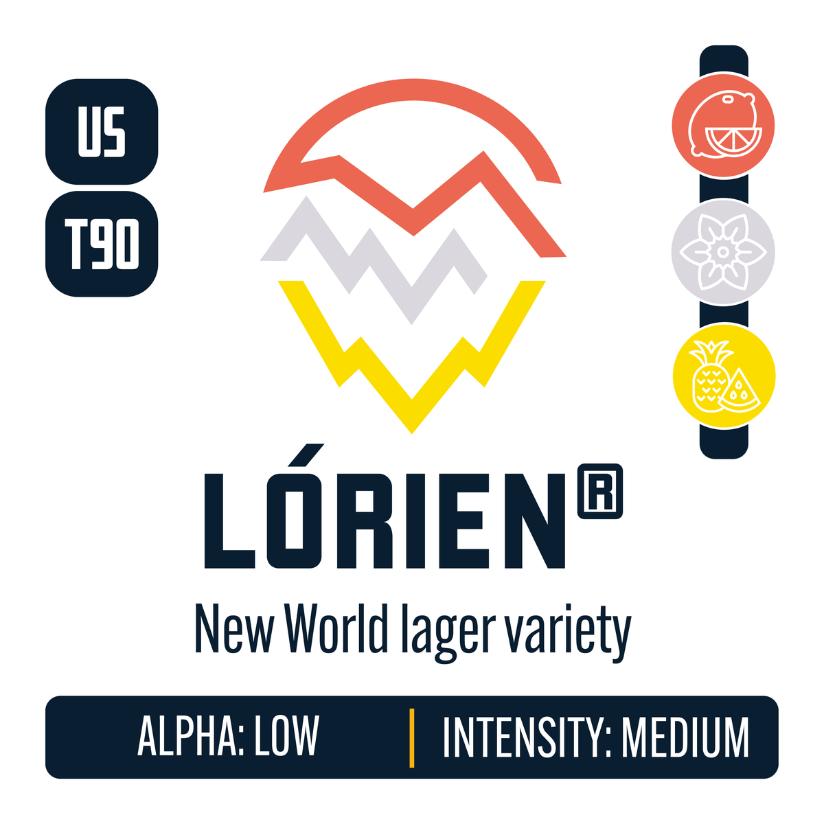 Lorien Hops Profile: Citrus, Floral, Sweet Fruit