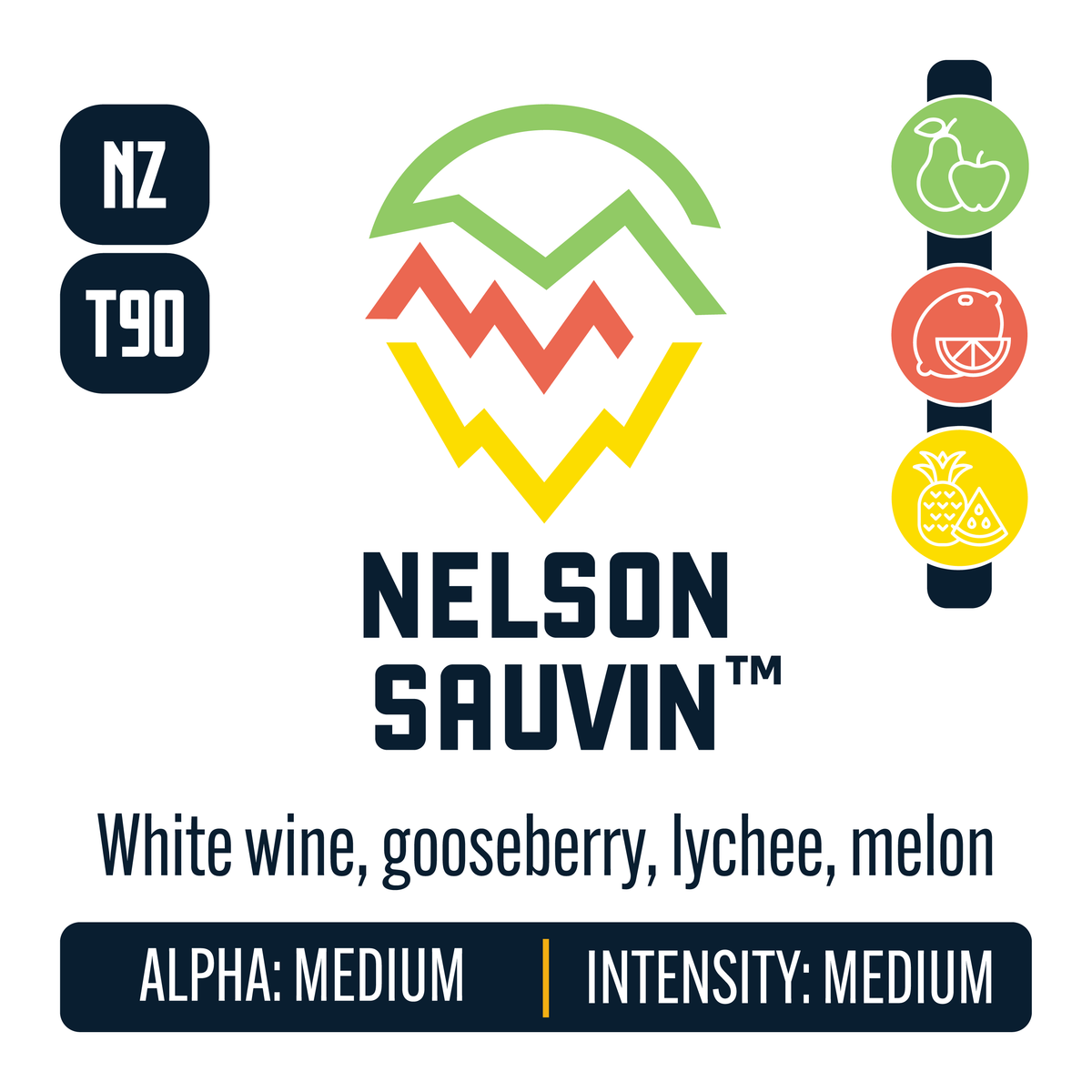 New Zealand Nelson Sauvin Hop Profile: Green Fruit, Citrus, Sweet Fruit