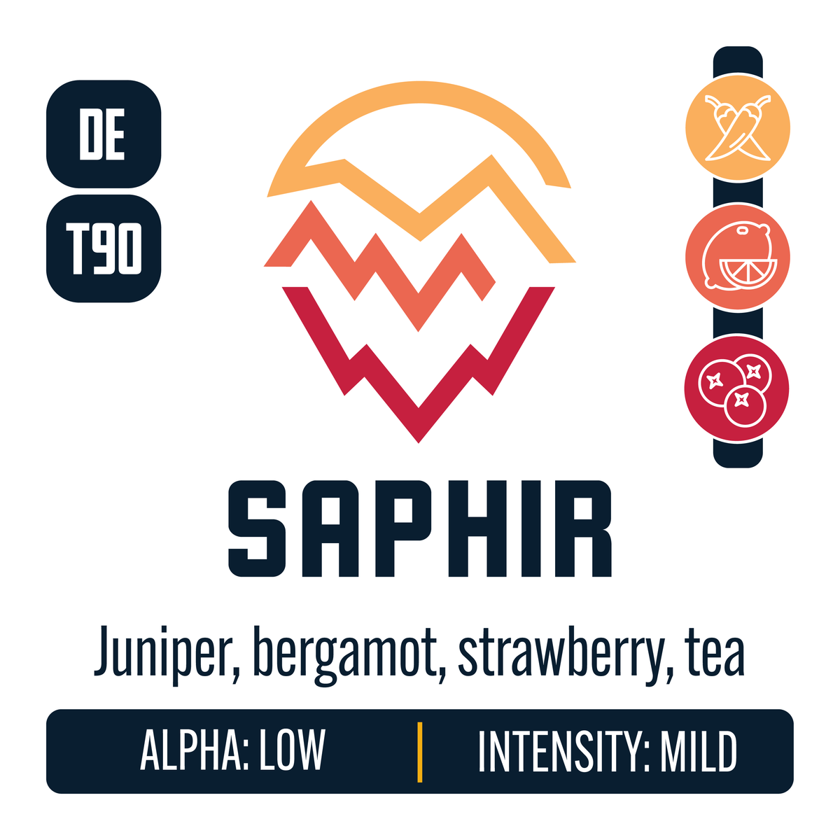 Saphir Hop Profile: Spicy, Citrus, Berry & Currant