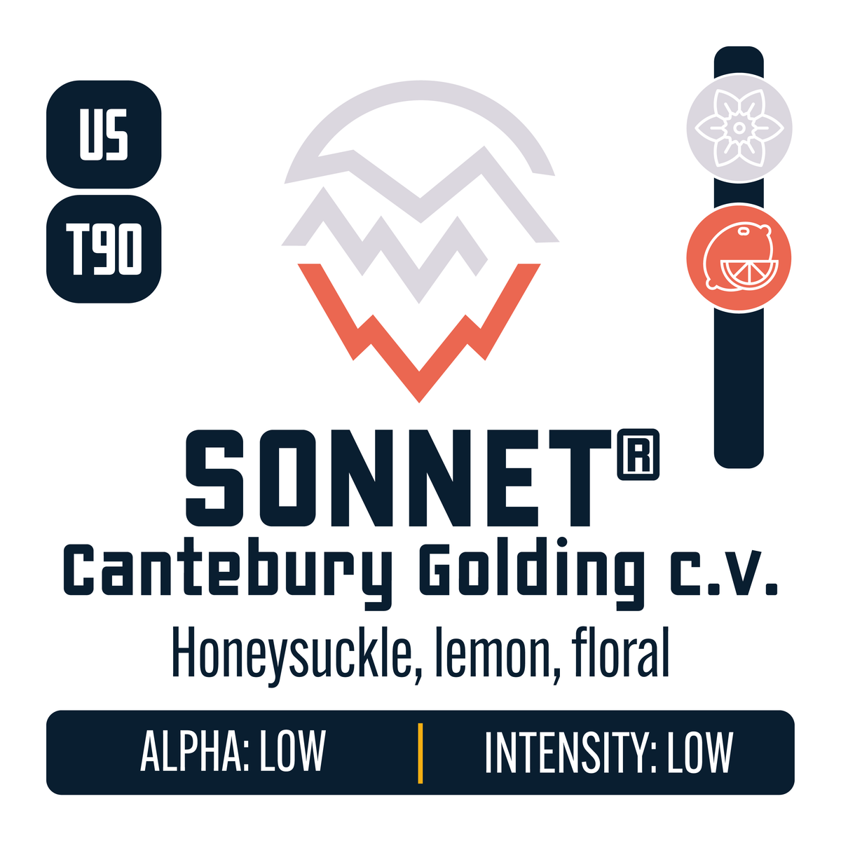 Sonnet Hop Profile: Floral, Citrus