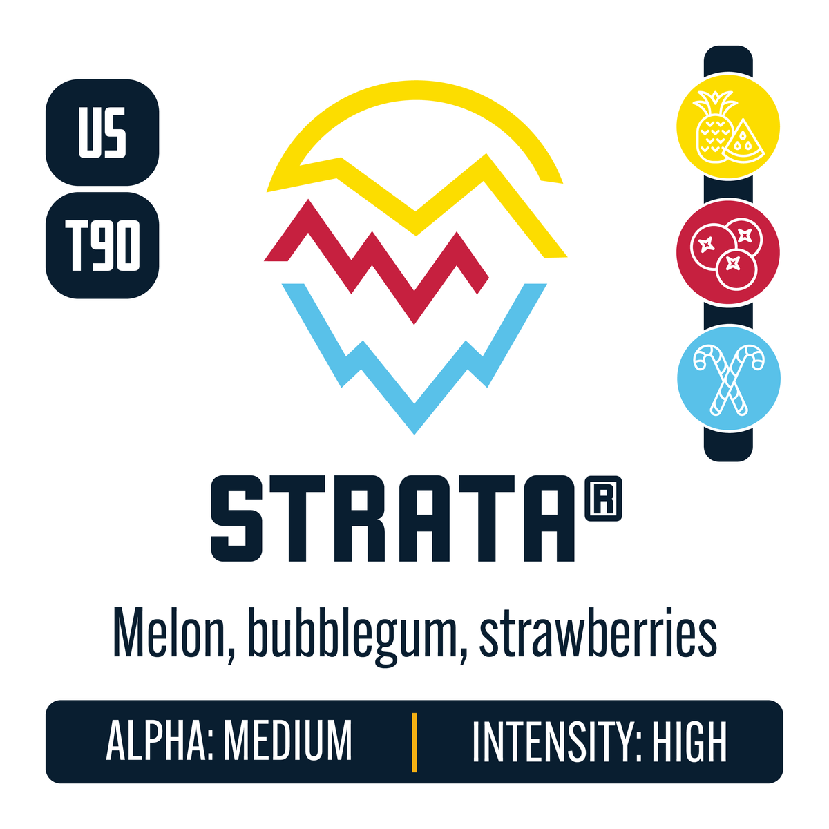 Strata Hop Profile: Sweet Fruit, Berry & Currant, Menthol