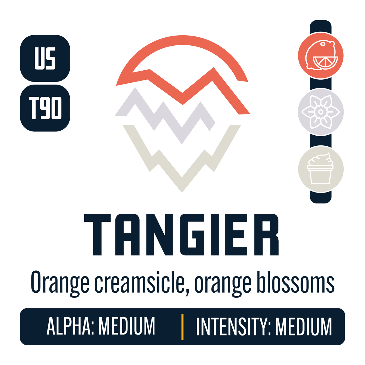 Tangier Hop Profile: Citrus, Floral, Cream Caramel