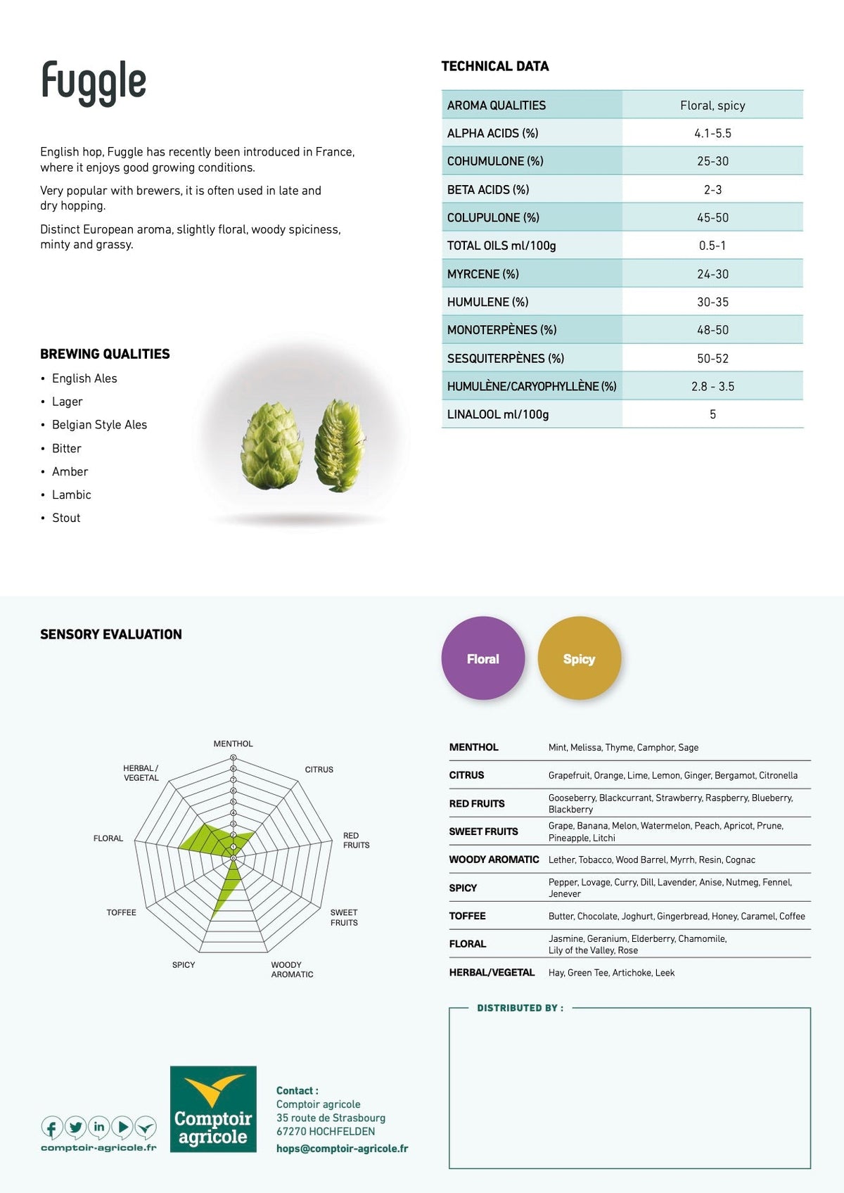 Fuggle Hops Flavor Profile
