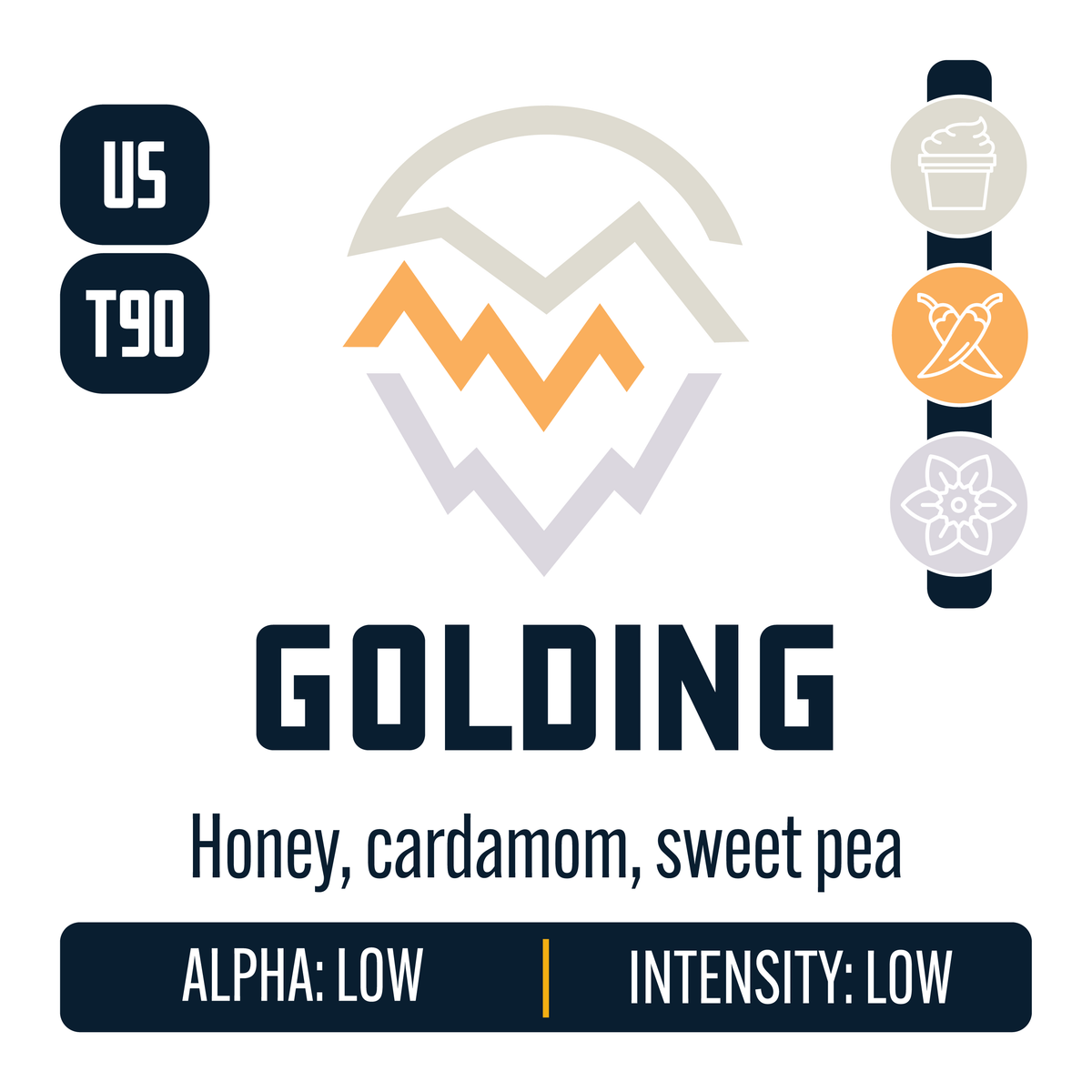 US Golding Hop Profile: Cream Caramel, Spicy, Floral