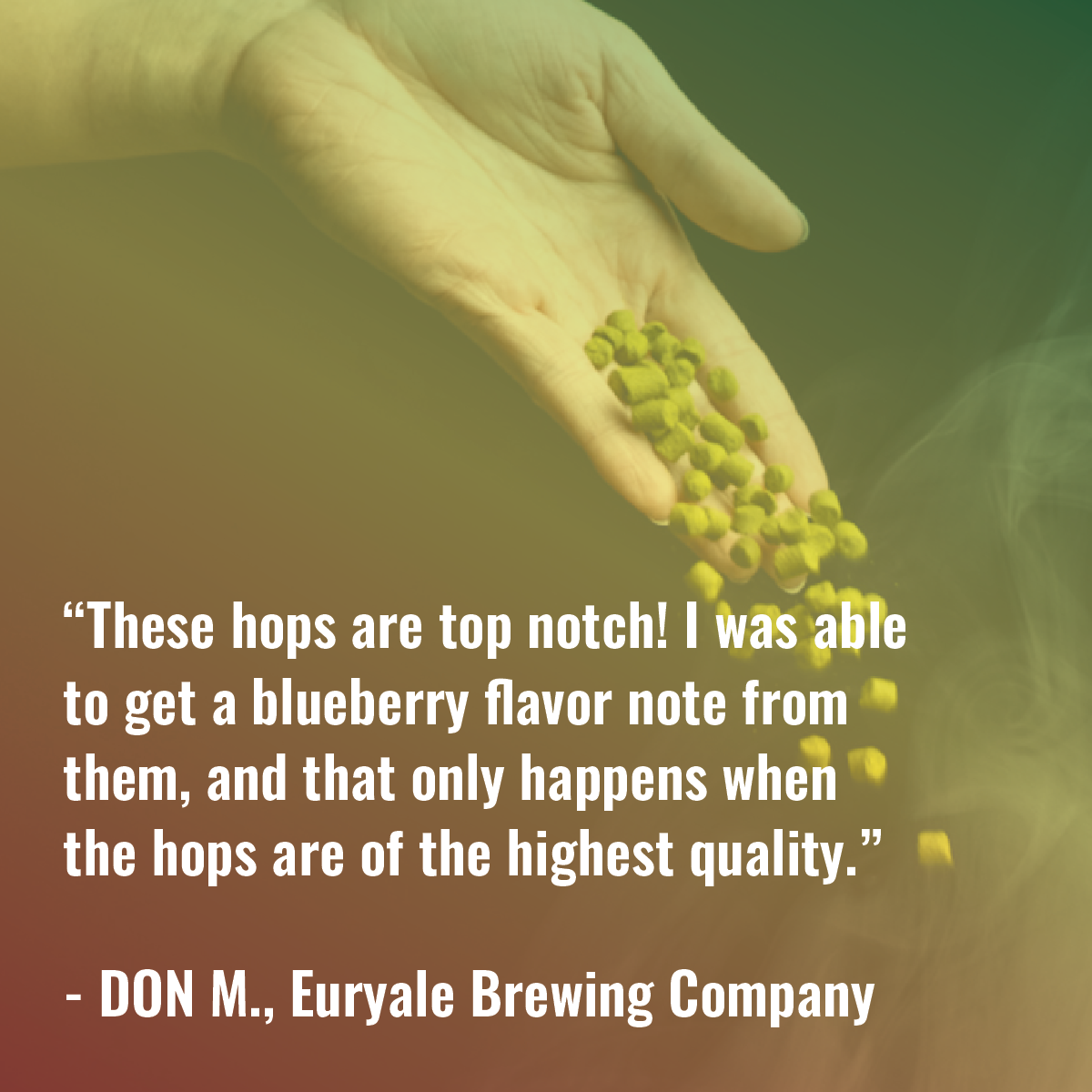 Mosaic Hop Review