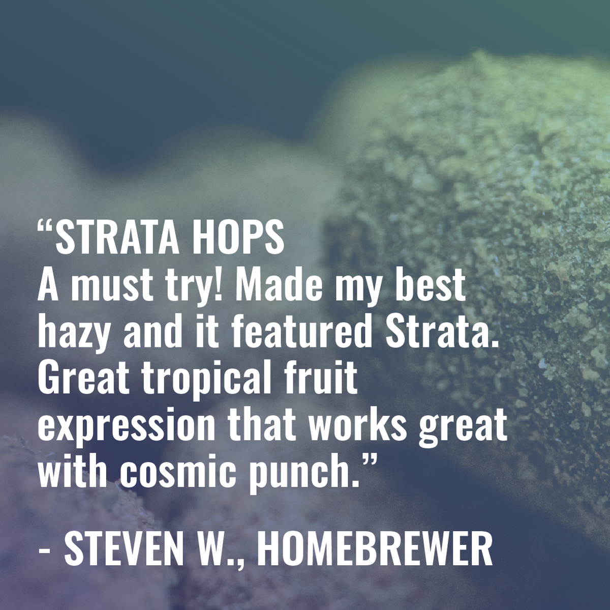 Strata Review