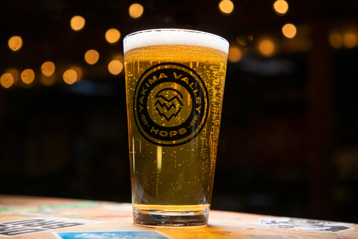 Classic Saaz Czech Pilsner homebrew in a glass
