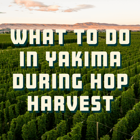 What To Do in Yakima During Hop Harvest