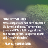 Mosaic Hop Review