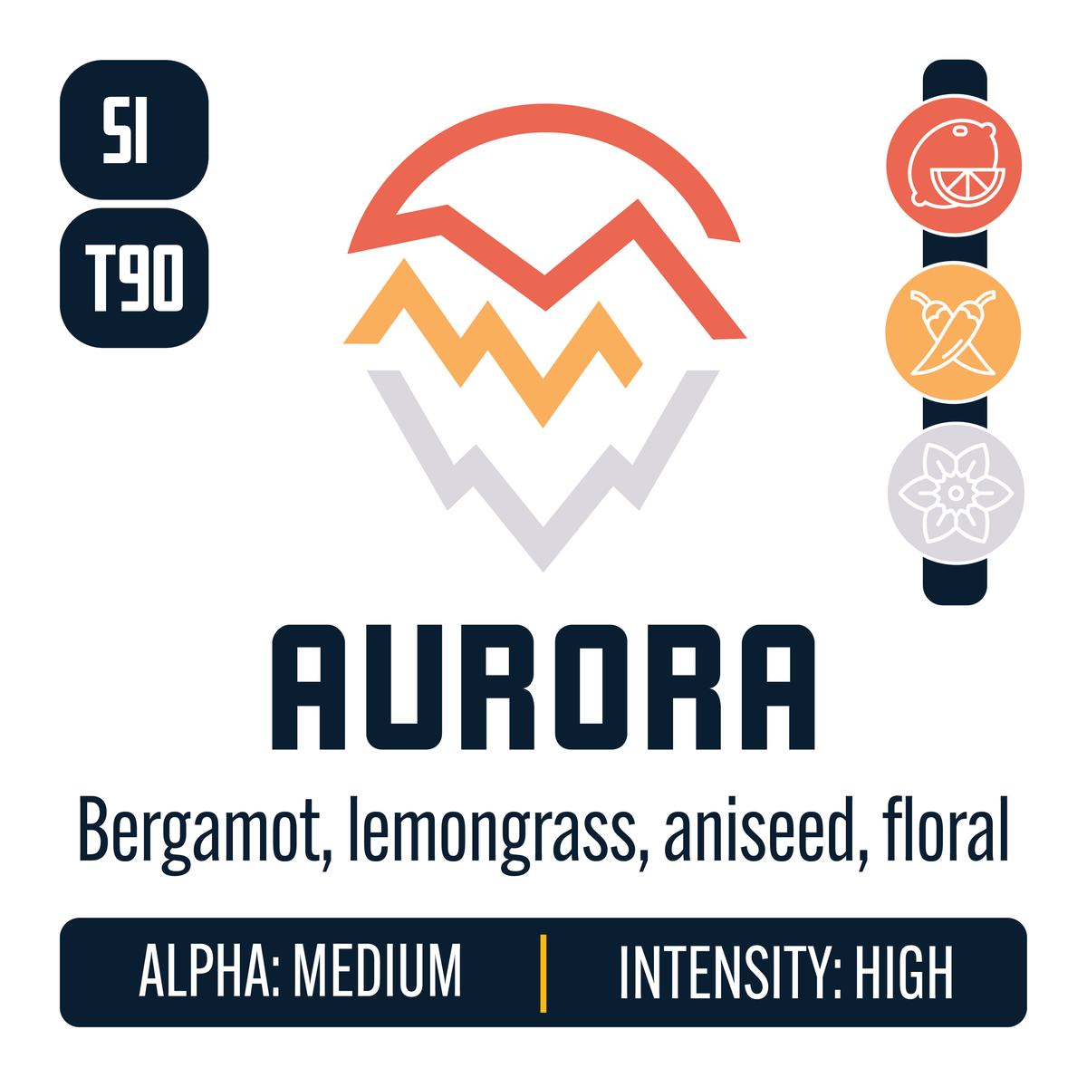 Slovenian Aurora Hop Profile: Citrus, Spice, Floral