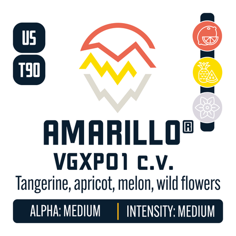 Amarillo VGXP01 cv Hop Profile: Citrus, Sweet Fruit, Floral