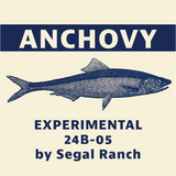 Anchovy Logo
