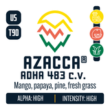Azacca Hop Profile: Sweet Fruit, Citrus, Green-Grassy