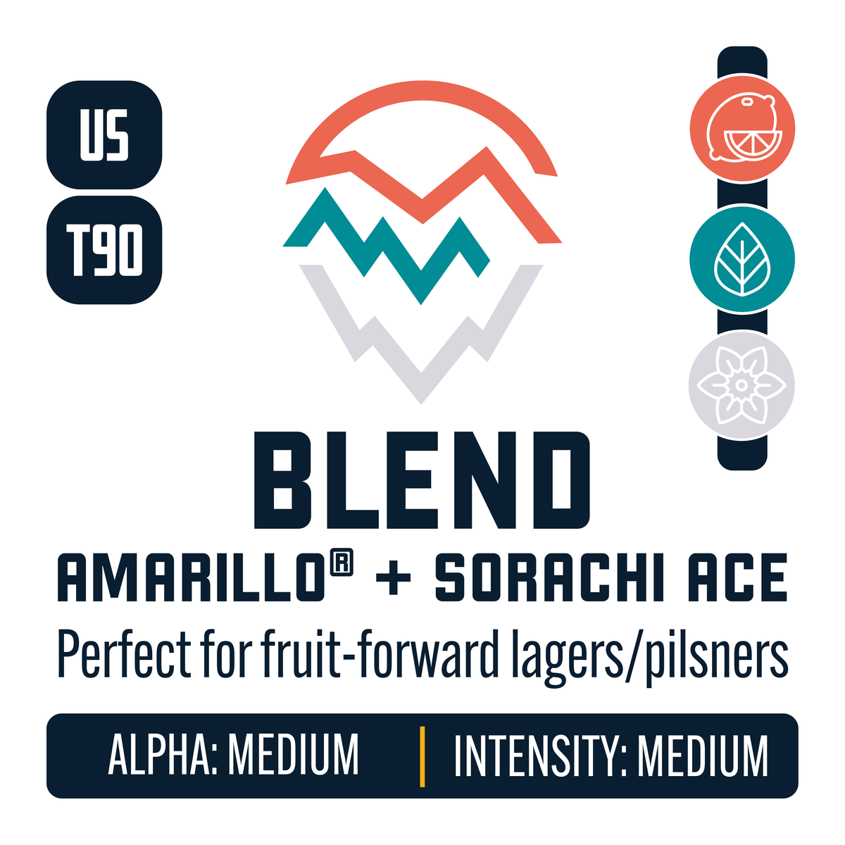 Amarachi Hops