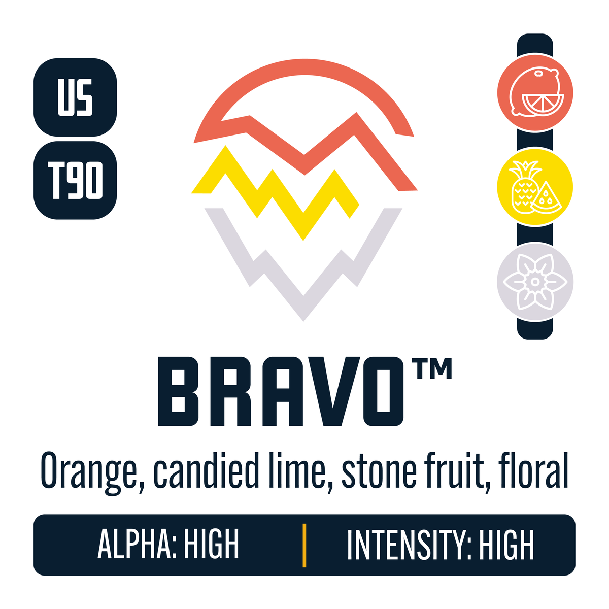 Bravo Hop Profile: Citrus, Sweet Fruit, Floral