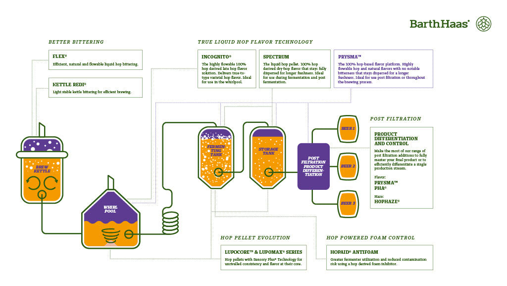 Brewing process flow chart showing during which process to add each advanced hop product 