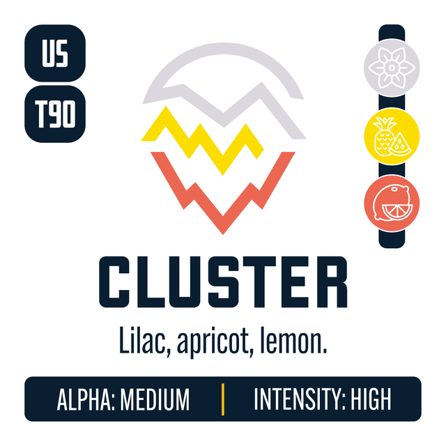 Cluster Hop Profile: Floral, Sweet Fruit, Citrus