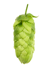 Cascade Whole Cone