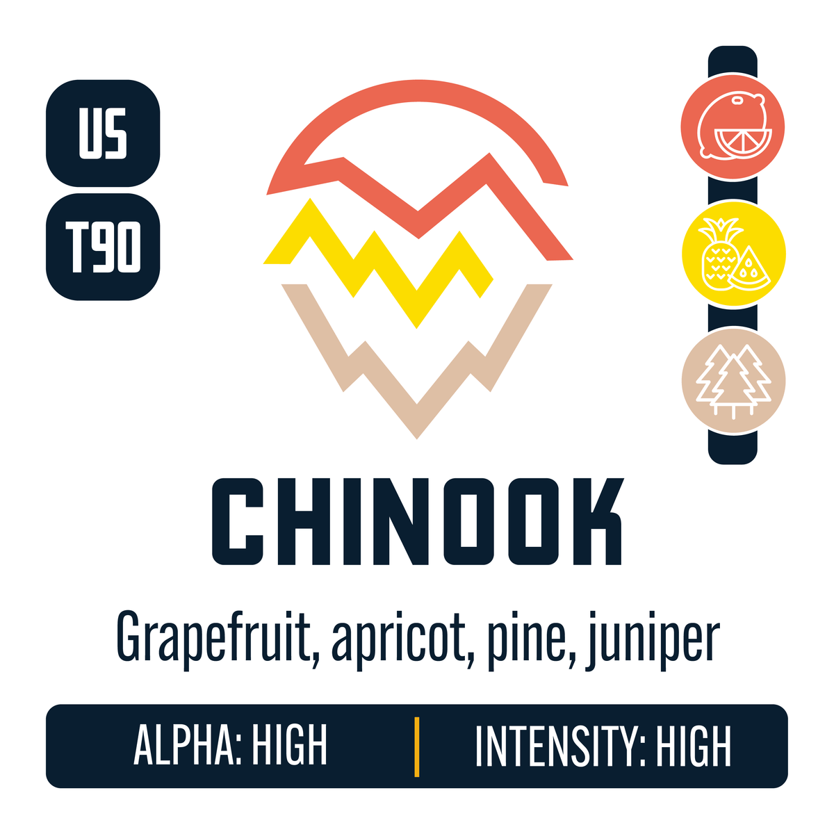 Chinook Hop Profile: Citrus, Sweet Fruit, Woody Aromatic