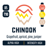 Chinook Hop Profile: Citrus, Sweet Fruit, Woody Aromatic