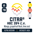 Citra Hop Profile: Sweet Fruit, Citrus, Floral