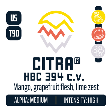 Citra Hop Profile: Sweet Fruit, Citrus, Floral