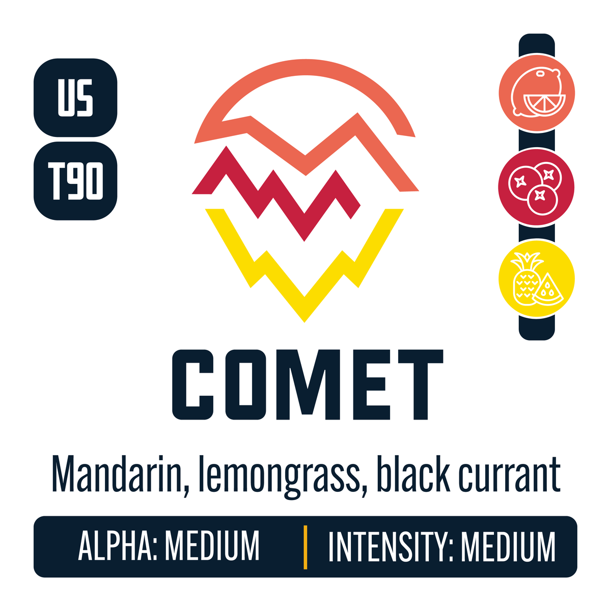 Comet Hop Profile: Citrus, Berry & Currant, Sweet Fruit