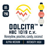 Dolcita Hop Profile: Sweet Fruit, Citrus, Cream Caramel