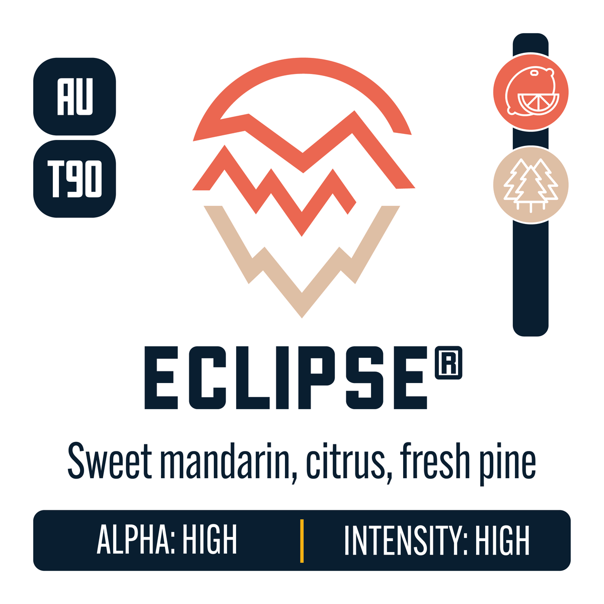 Eclipse Hop Profile: Citrus, Woody Aromatic