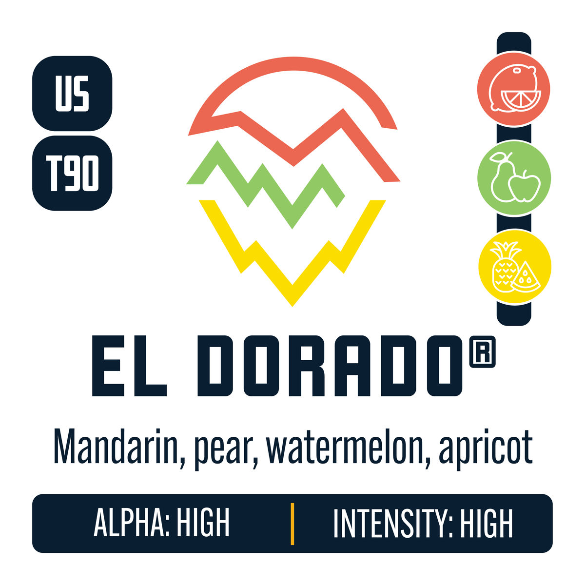 El Dorado Hop Profile: Citrus, Green Fruit, Sweet Fruit