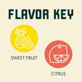 Experimental D5-055 Hops Flavor Profile: Citrus and Sweet Fruit