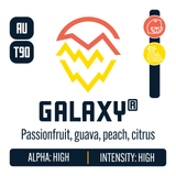 Galaxy Hop Profile: Citrus, Sweet Fruit