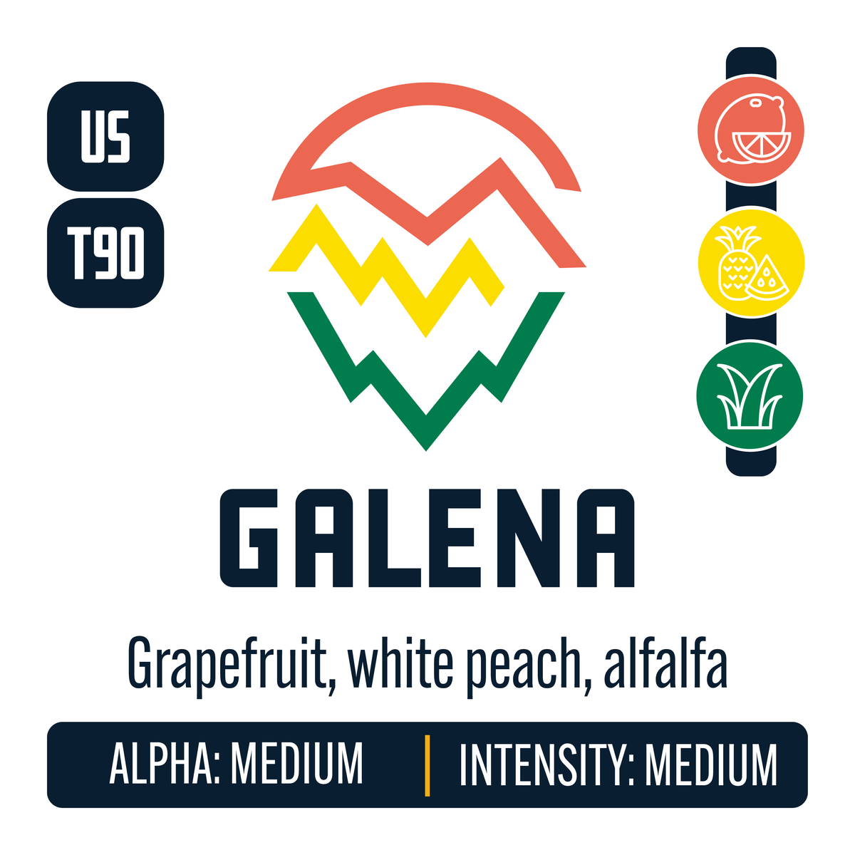 Galena Hop Profile: Citrus, Sweet Fruit, Green-Grassy