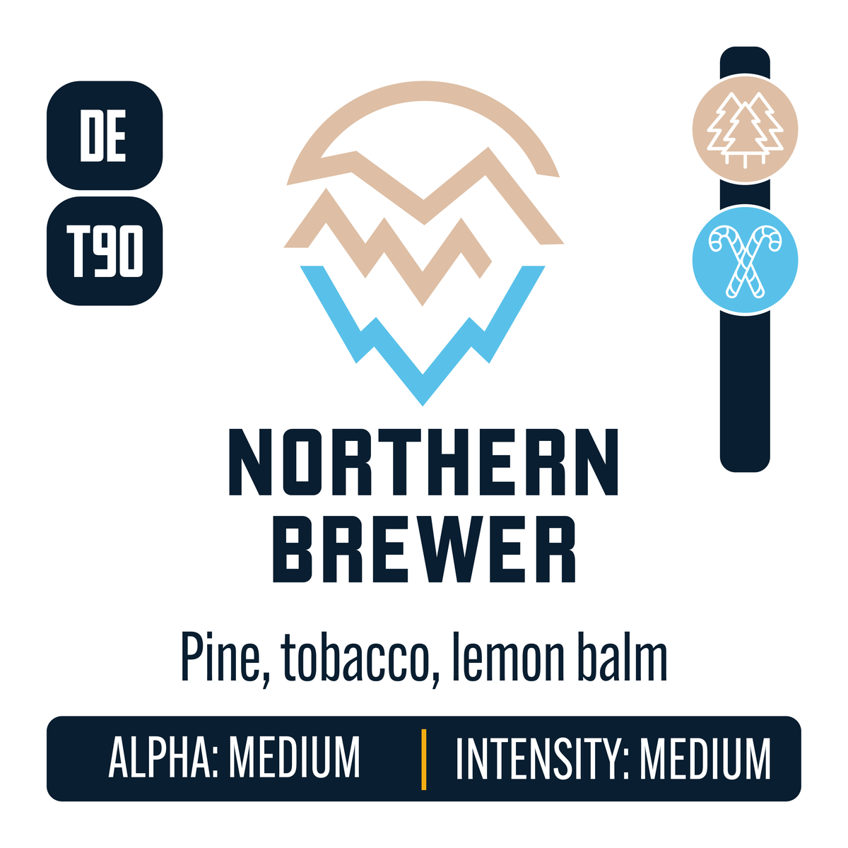German Northern Brewer Hop Profile: Woody Aromatic, Menthol