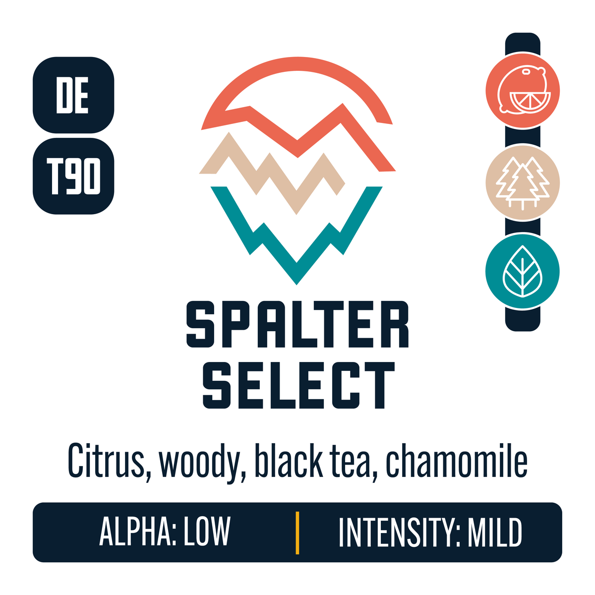German Spalter Select Hop Profile: Citrus, Woody Aromatic, Herbal