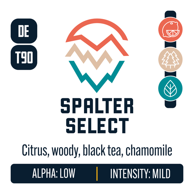 German Spalter Select Hop Profile: Citrus, Woody Aromatic, Herbal
