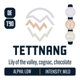 Tettnang Hop Profile: Floral, Woody Aromatic, Cream Caramel