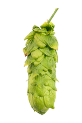 Hull Melon Hops
