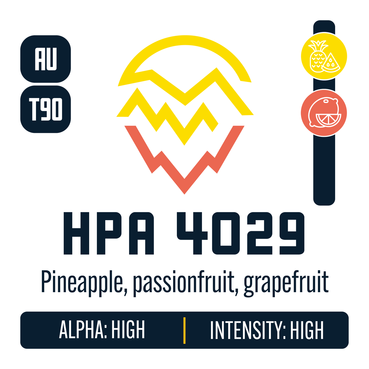 HPA 4029 Hop Profile: Sweet Fruit, Citrus
