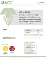 Strata Hop Companion