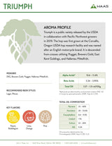Triumph Hops